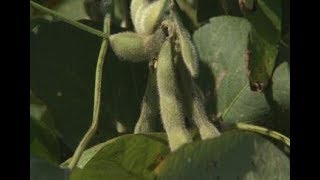 Agronomics-Part 1-Introduction