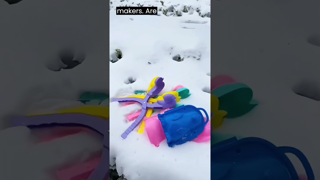 Snowball Makers: Which One Will You Prefer?