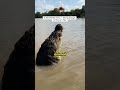 The Animal Kingdom Is Built Different 🐾😳