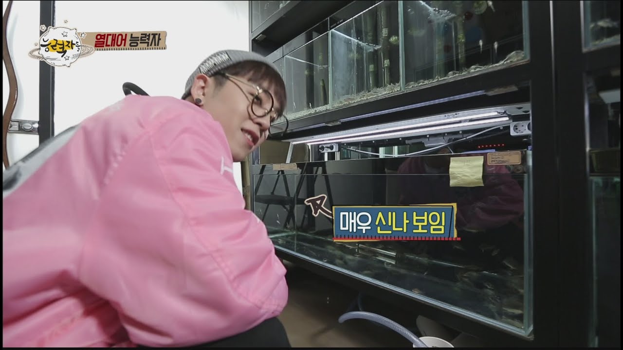 The Geeks] 능력자들 - Lee Tae il, tropical fish appear in an ability 20151113 -  YouTube