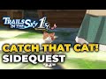 Trails in the Sky 1st Chapter – Catch That Cat - Sidequest - 100% Full Walkthrough