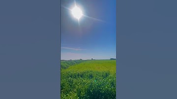 ﴿ ادْخُلُوها بِسَلامٍ ذَلِكَ يَوْمُ الخُلُودِ لَهم ما يَشاءُونَ فِيها ولَدَيْنا مَزِيدٌ ﴾ ، سورة ق