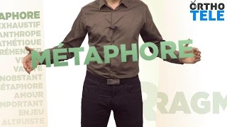 Décortiquons le mot « Métaphore » - Orthodidacte.com Resimi