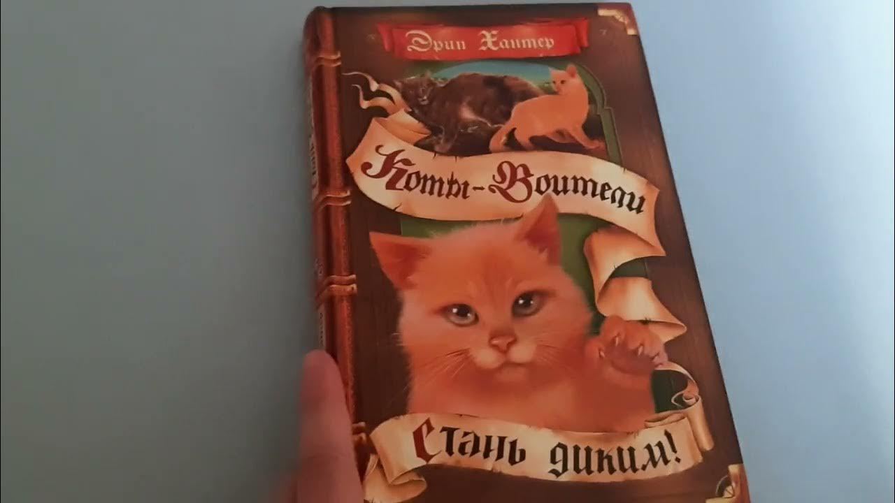 Обзор на книгу Коты Воители "Стань Диким" - YouTube