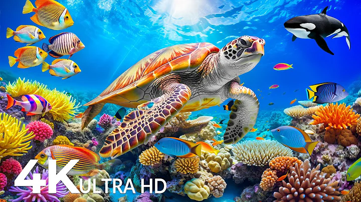 Dive Into the Mesmerizing Underwater Realm🐳Marvel at Sea Animal in The Best 4K ULTRA HD Aquarium #31