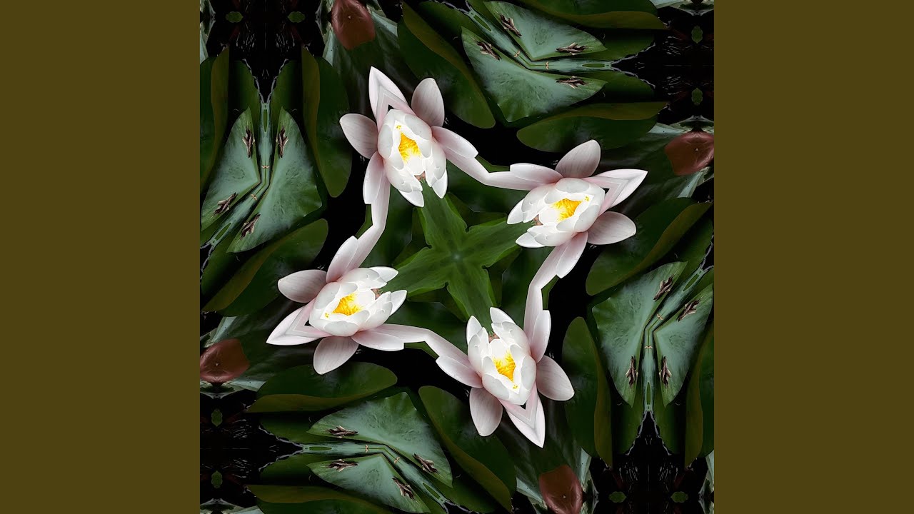 A Balanced Mind Full Of Love And Compassion