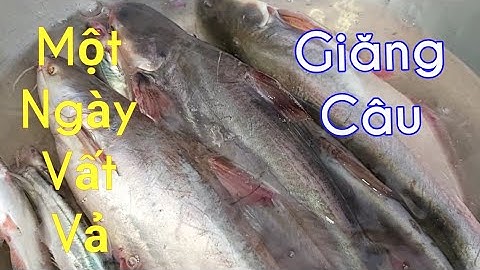 Giăng Câu Một Ngày Vất Vả Chỉ Mấy Con Cá Mà Thôi / Sông Nước Miền Tây / Kiềm Rapper #114