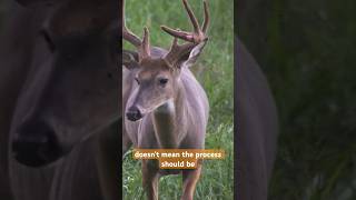 Don’t Skip Steps - Mineral | Buck Bourbon @tractorsupply