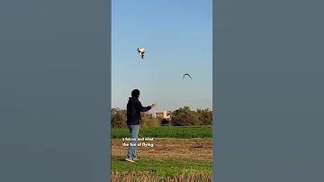 انا لية جبت صقر حيوانات صقور جوارح 