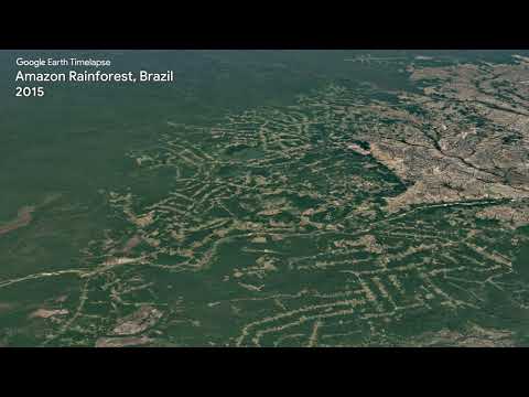 Google Earth Timelapse: Amazon Rainforest, Brazil