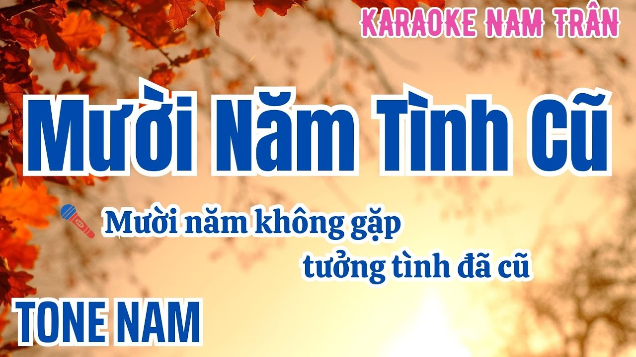 Karaoke Mười Năm Tình Cũ (Phối Chuẩn 2025) Tone Nam | Nam Trân