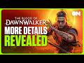 The Blood of Dawnwalker: 15+ Questions Answered About Story, New Game Plus &amp; More!