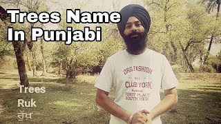 ***************************** support my work by paypal
https://www.paypal.me/punjabyia in this video you will learn how to
say...