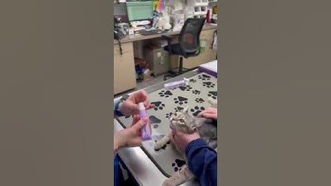 JessicBarger-YTI Skill #20 Administer Eye Drops or Ointment