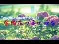 TouchRetouchを使って紫陽花の葉が蘇る(実践を早送り編集!)