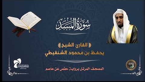 111 سورة المسد # المصحف المرتل# الشيخ / يحفظ بن محمود الشنقيطي
