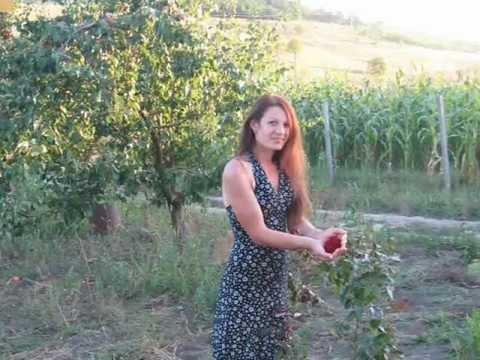 Femei De Maritat Din Moldova, Caut bărbat