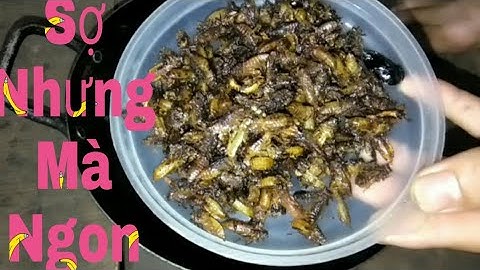 Chuồn chuồn nước rang giòn ăn rất ngon DTM Vlogs