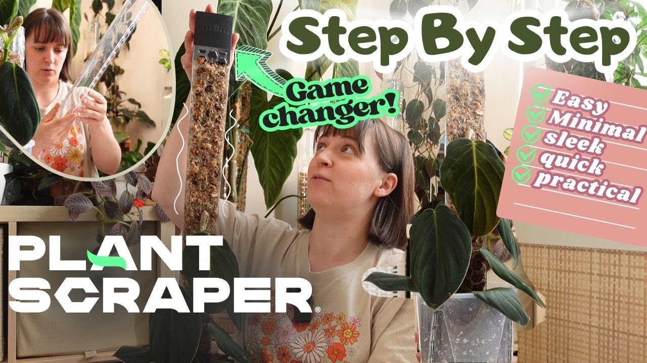 P. Gigas Glow up! D-Shaped Moss Pole by PLANTSCRAPER | Step By Step Guide 💚