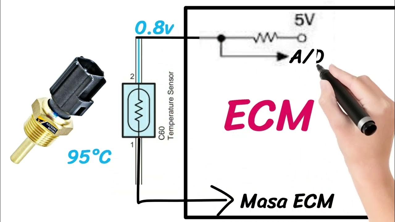 Sensor de temperatura del refrigerante del coche, 1 uds, sensor de  temperatura del refrigerante automático práctico y ligero con conectores de  4 pines para coche : : Coche y moto