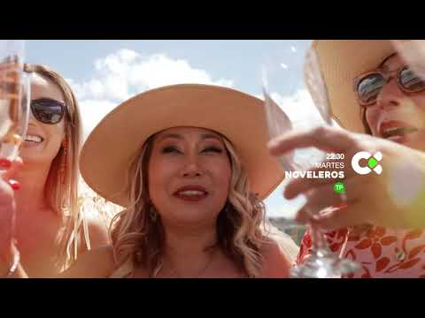 Noveleros | PROMO