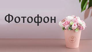 Фотофон 2.5 - альбом для съемки букетов