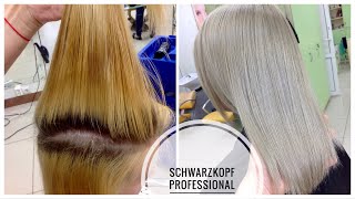 Окрашивание БЛОНД Шварцкопф Schwarzkopf Professional BLONDME Ледяной пепельный блонд без желтизны