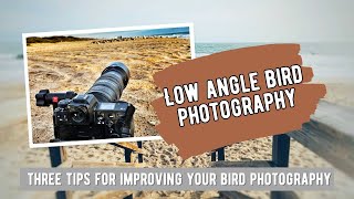 Quick Tips for Photographing Low Angle Birds
For this week we will be talking about photographing shorebirds on the beach and I will give you some quick tips for how to get unique images of birds from a low angle.
You can learn more about Experience Wildlife and Jennifer Leigh Warner by visiting my website at: https://www.experiencewildlife.com
••• IN MY CAMERA BAG •••
Nikon Z9
Nikon Z50
Nikkor 200-500MM
Nikkor 24-70MM
Nikkor 16-50MM
Nikkor 105MM Macro
••• FOLLOW ME •••
Website: https://www.experiencewildlife.com
Instagram: / experiencewildlife
Facebook: / expwildlife
••• THANK YOU FOR SUPPORTING ME •••
PayPal: paypal.me/ExperienceWildlife
Buy My Prints: https://www.experiencewildlife.com/fi...
••• AFFILIATE LINKS •••
Think Tank: https://www.thinktankphoto.com/?rfsn=...
Journal of Wildlife Photography: https://journalofwildlifephotography....
••• WHO I AM •••
Jennifer Leigh Warner is a professional wildlife photographer with 19 years of experience photographing wildlife and nature. Living in Central Texas and specializing in creating meaningful images that conveys a message of hope for the natural world. Jennifer has served as the Ethics Committee Chair for NANPA since 2018. Jennifer leads photo tours locally and around the world.
Wildside Nature Tours: https://wildsidenaturetours.com/team-...
Women in Wildlife Photography: https://womeninwildlifephotography.co...
Girls Who Click: https://girlswhoclick.org/photographe...
NANPA: https://nanpa.org/why-nanpa/ethics/
Music
1 songs
Br1ghter (Instrumental Version)
Tape Machines, Le June, Nbhd Nick
Br1ghter
#birds #photography #nikon Quick Tips for Photographing Low Angle Birds