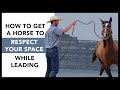 How to get a horse to respect your space while leading- No more crowding