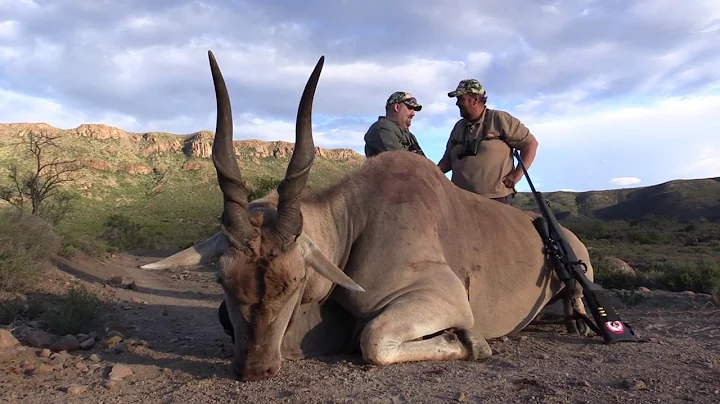 Ralph's Eland Hunt. 368 yard shot, with Stompiesla...