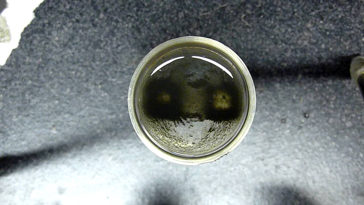 Iron Filings in Water Attracted to YouTube