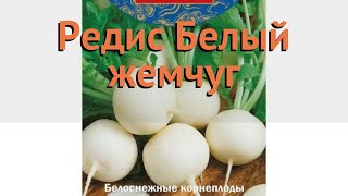Редис Обыкновенный Белый Жемчуг Zhemchug Обзор Как Сажать, Семена Редиса Белый Жемчуг