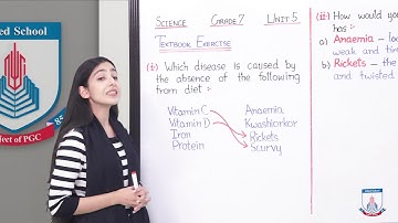 Class 7 - Science - Chapter 5 - Lecture 135 Textbook Exercise (Q 4) - Allied Schools