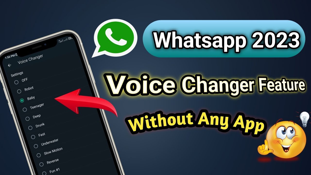 Tutorial】How to Change Voice During WhatsApp Call? - iMyfone