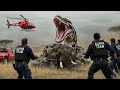The Most Dangerous Rescue Mission Ever Caught on Camera ⚠️”