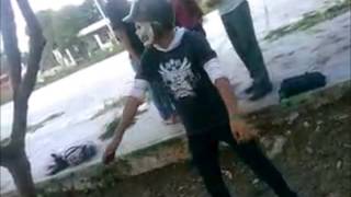 Harlem Shake Cobay Kanasin