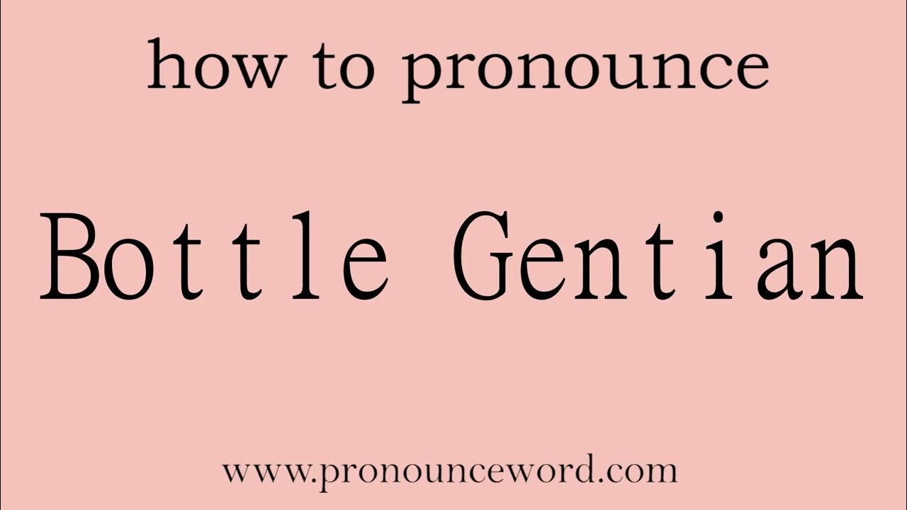 Bottle Gentian How to pronounce Bottle Gentian in english (correct