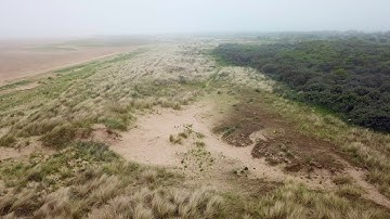 Sand Dunes