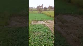 Sandhya Rajput Officer