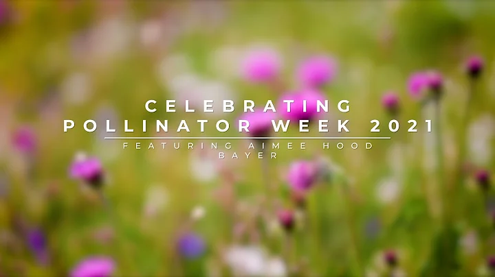 Celebrating Pollinator Week 2021 Featuring Aimee H...
