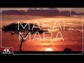 Masai Mara National Reserve - African wildlife and nature in 4K