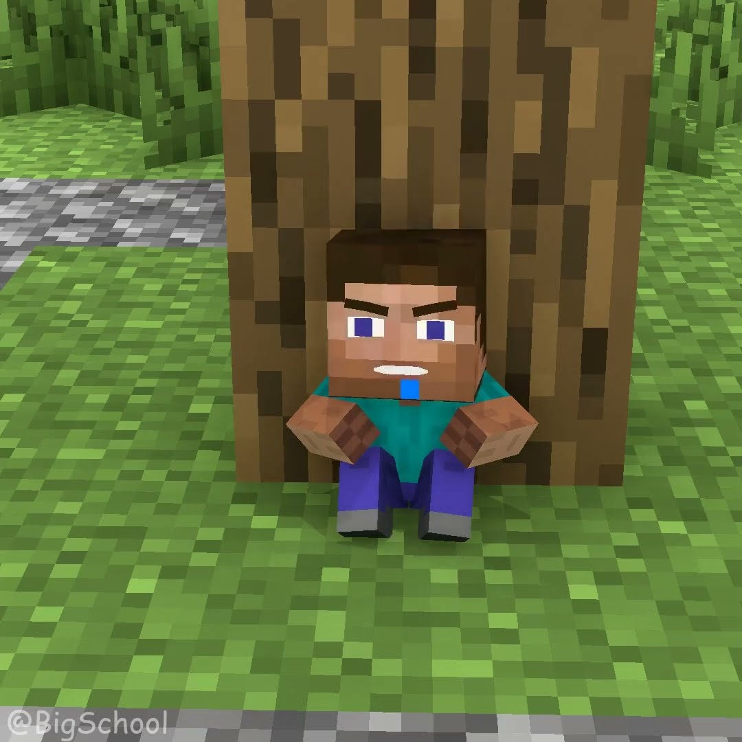 Sigma Boy | Steve was looked down upon by his friends and the ending!