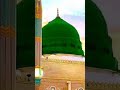 Muhammad Nabina Muhammad Nabina