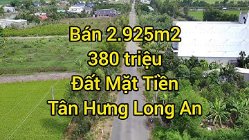 Đất Ruộng 2 Công Mặt Tiền Đường Nhựa Tân Hưng Long An