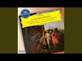 Miniature de la vidéo de la chanson Quintet For Guitar And Strings In E Minor, No. 3: Iii. Minuetto