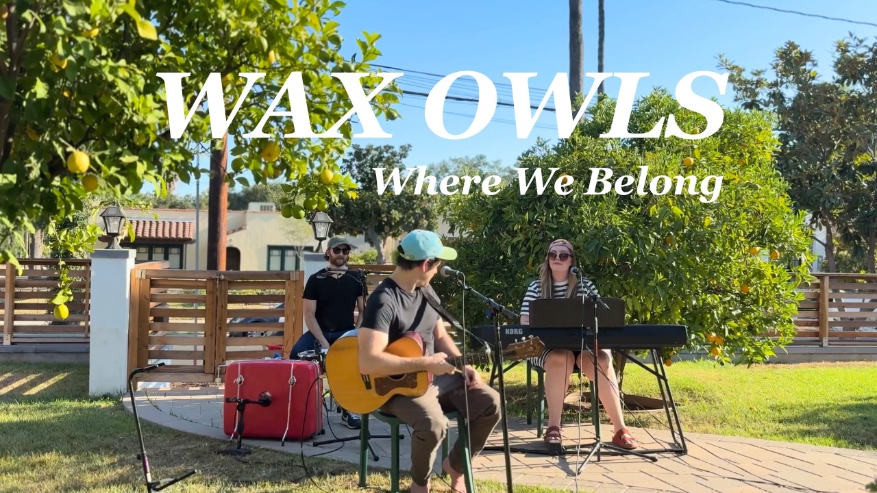 Where We Belong (Live Under The Orange Tree) - Wax Owls