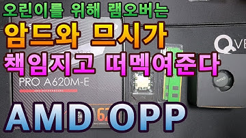 라이젠 램오버 뉴비를 위한 바이블 AMD OPP (MSI B650M 박격포, X870E 카본, X670E 토마호크, B650M 프로젝트제로, A620M-E 그리고 하이닉스DDR5)