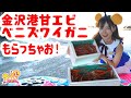 底引き網漁解禁！金沢港甘エビプレゼント！★HAB5chポイントキャンペーン