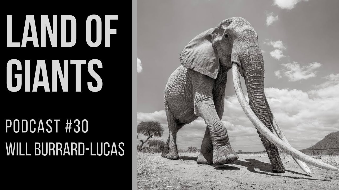 PODCAST 30 Will Burrard Lucas Land Of Giants YouTube