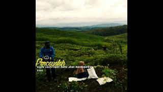 Download Lagu Sw bucin MP3
